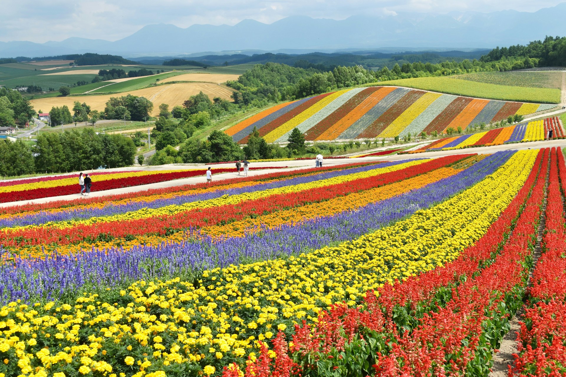 北海道県 レンタル